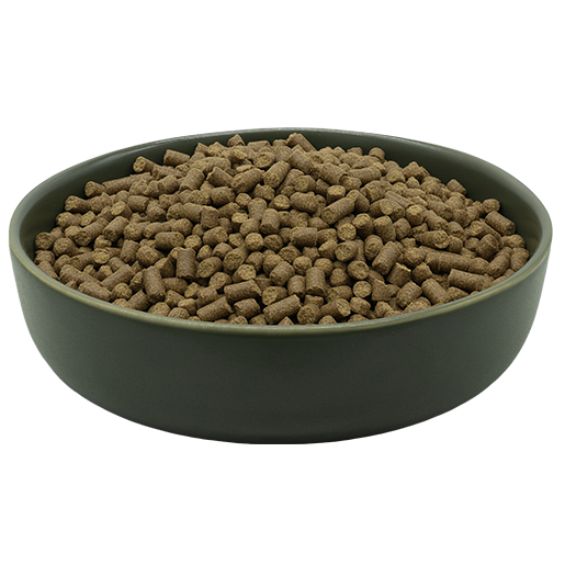 MAXiDOG Pura Lamm, 3 kg