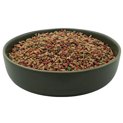 REiCO Hormon Balance+, 150 g