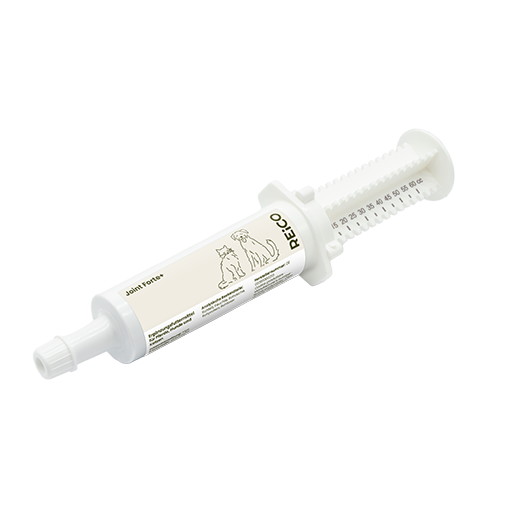 REiCO Joint Forte+, 60 ml
